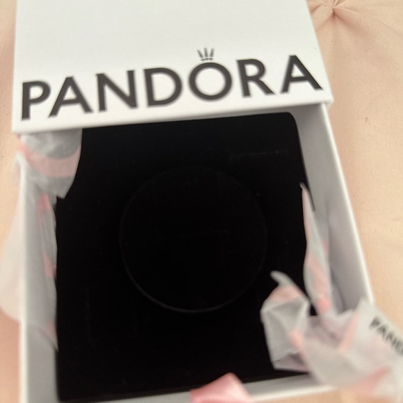 Pandora Jewelry Box - Picture 3 of 5